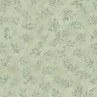 light sage green background