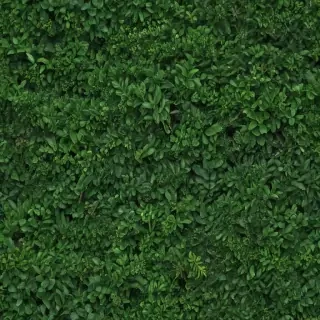greenery png