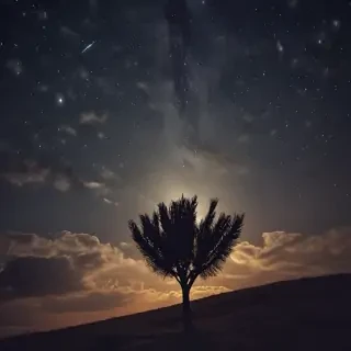 good night images