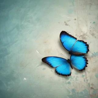blue butterfly background