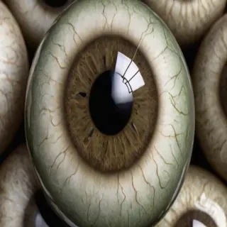 eyeballs png