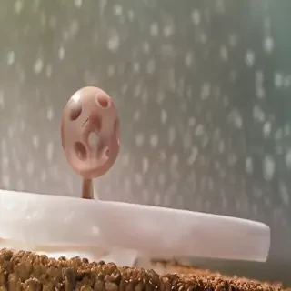 boing boing