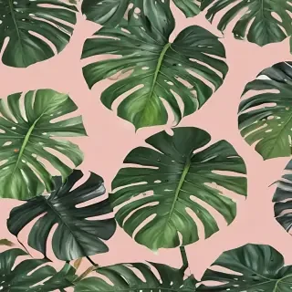 aesthetic monstera wallpaper