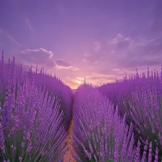 aesthetic lavender wallpaper