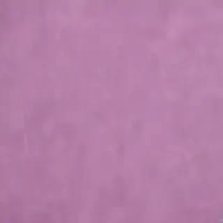 mauve background