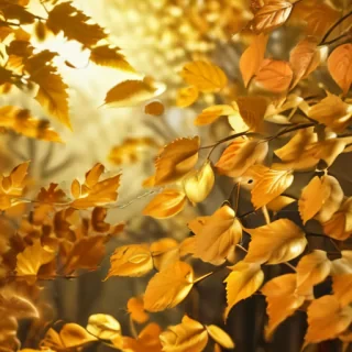 golden leaves background