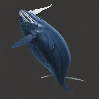 blue whale png