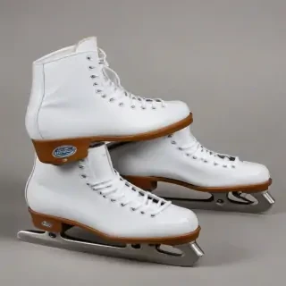 skates png