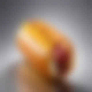 transparent hot dog