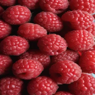 raspberry png