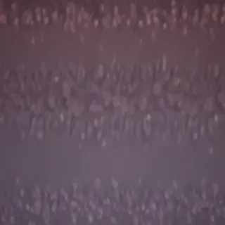border bg