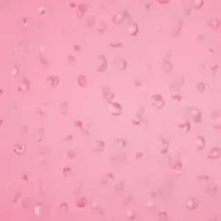 pink wallpaper for iphone