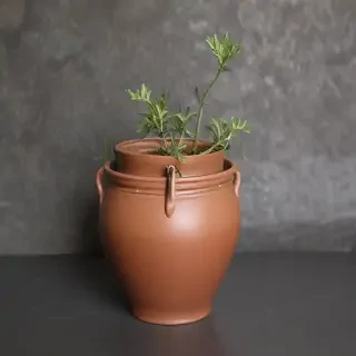 pot images