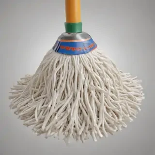 mop png