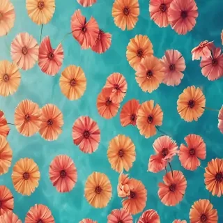 summer iphone wallpaper