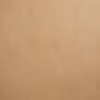 grain paper texture