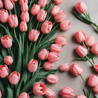 tulips wallpaper aesthetic