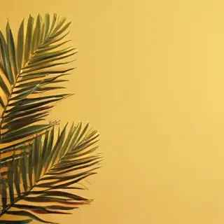 yellow aesthetic background
