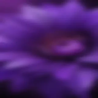 computer wallpaper purple