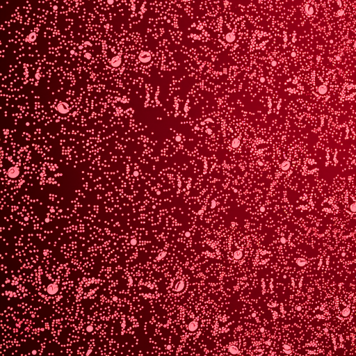 rose gold wallpaper iphone