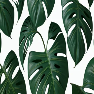 aesthetic monstera wallpaper