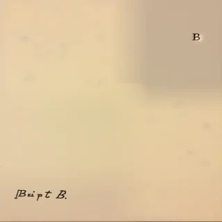 letter b