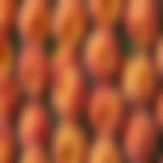 peaches background