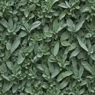 sage green aesthetic
