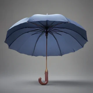 umbrella png