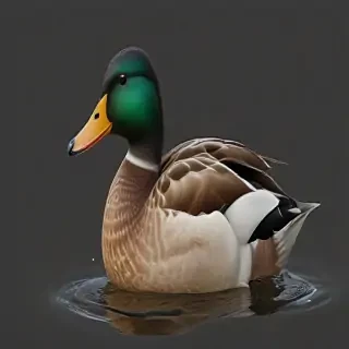 duck png
