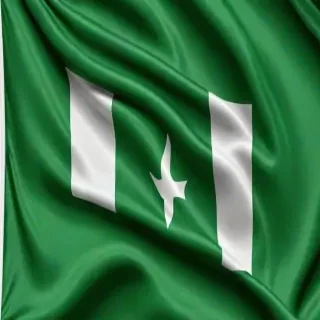 nigerian flag png
