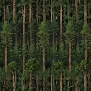 forest transparent background