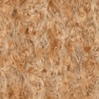 dog images