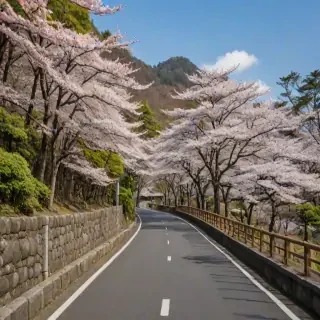 freeuse japan