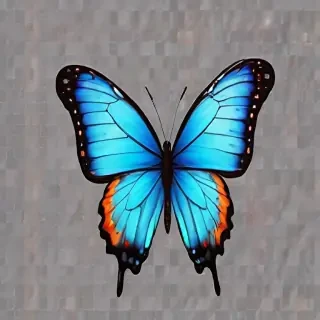 transparent background butterfly clipart