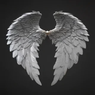 angel wings png