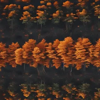 fall wallpapers iphone