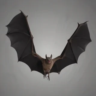 halloween bats png