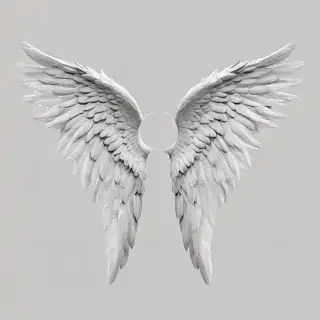 angel wings transparent background