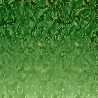 green christmas wallpaper
