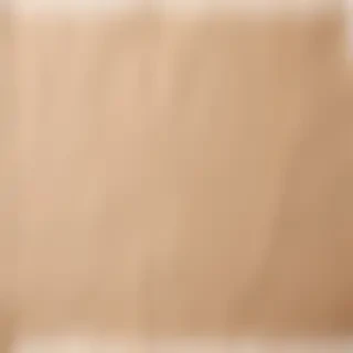 aesthetic ripped paper png