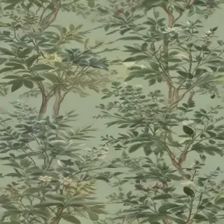 sage aesthetic wallpaper