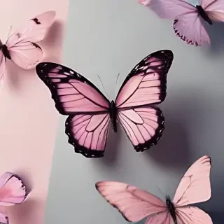 aesthetic butterfly wallpaper