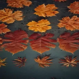 fall wallpaper for iphone