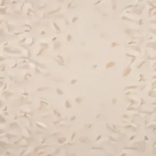 neutral aesthetic wallpaper