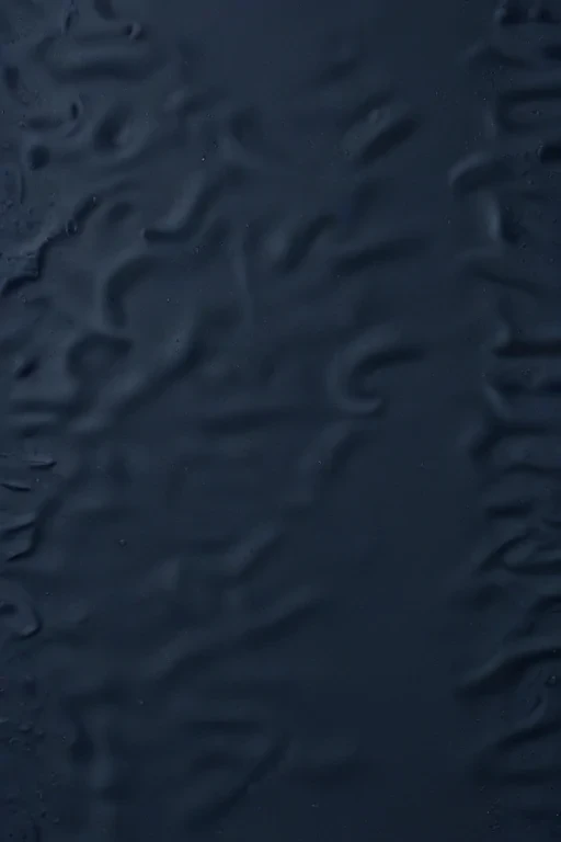 navy blue bg