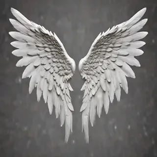 angel wing images