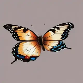 butterfly png transparent