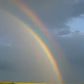 rainbow pictures
