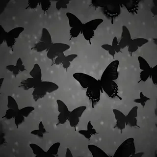 black butterfly wallpaper